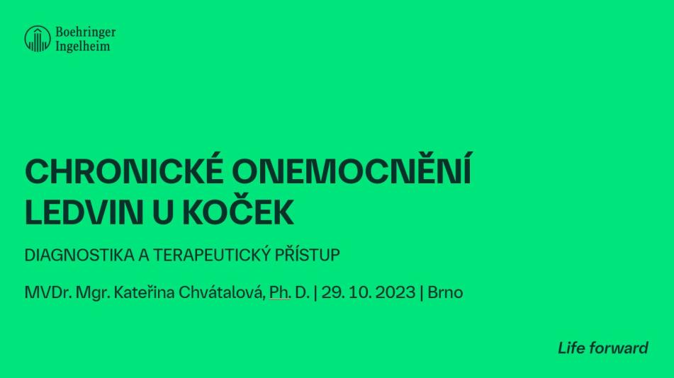 CKD u kocek