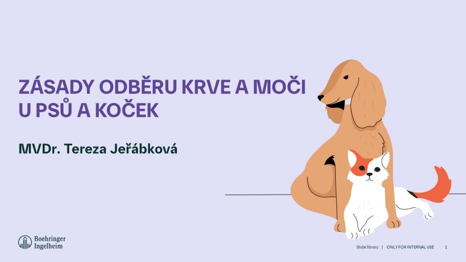 Zásady odběru krve a moči u psů a koček